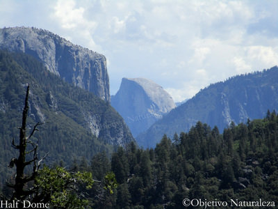 Half Dome-Parque Nacional de Yosemite-California