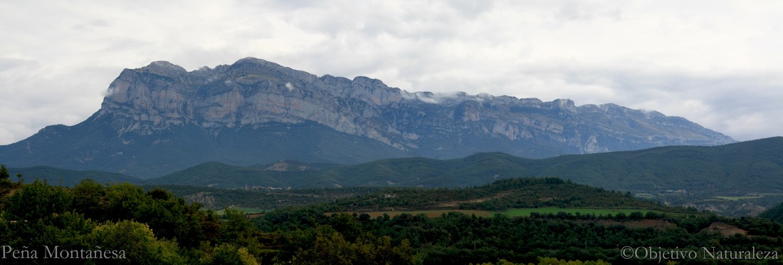 Peña montañesa -sierra de Ferrera