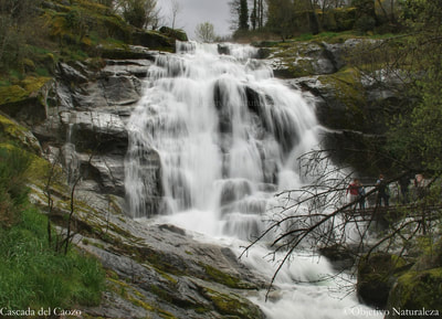 Entre Piornal y Valdastillas (Valle del Jerte- Cáceres) se encuentra la Garganta Bonal, en ella podemos ver, entre otras, la cascada del Caozo, con una caída de más 30 m.