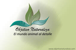 www.objetivonaturaleza.com