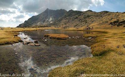 Laguna de los Pájaros- Parque Natural de Peñalara.
Laguna de origen glaciar,  a 2.170 metros de altitud.
