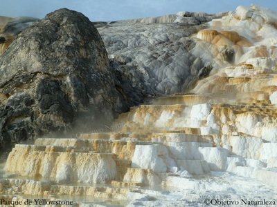 Mammoth Hot Springs,depósitos de minerales en el Parque de Yellowstone