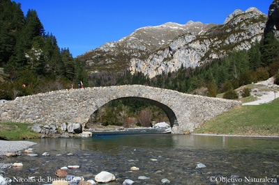 Puente románico de San Nicolás de Bujaruelo